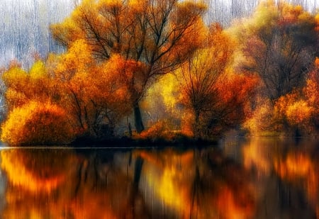 Autumn - fall, river, trees, water, autumn, red, tree