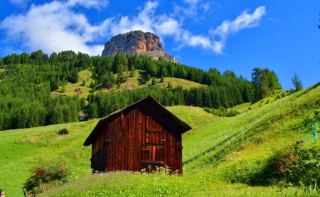 Wooden mountain cabin - nice, hut, cottage, sky, slope, freshness, greenery, house, grass, cliffs, landscape, mountain, hills, wooden, summer, lovely, nature, lonely, beautiful, flowers, cabin