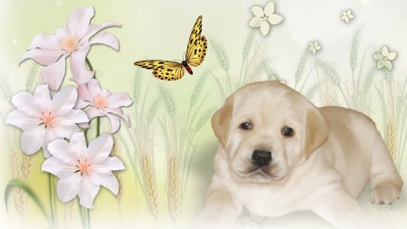 Sweet Sleepy Puppy - lilies, summer, canine, dog, grass, flowers, pet, butterfly, cute, puppy, labrador