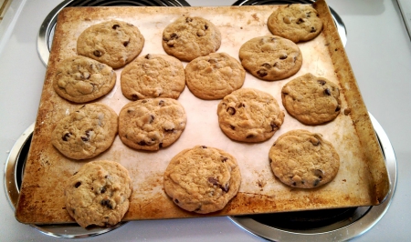 chocolate chip cookies - entertainment, fun, yummy, foods, cookies