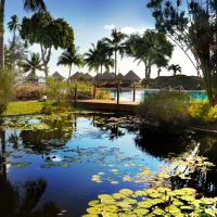 Beautiful Tahitian Resort