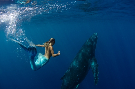 The Humpback whale and a Mermaid. - ocean, mermaid, australia, whale