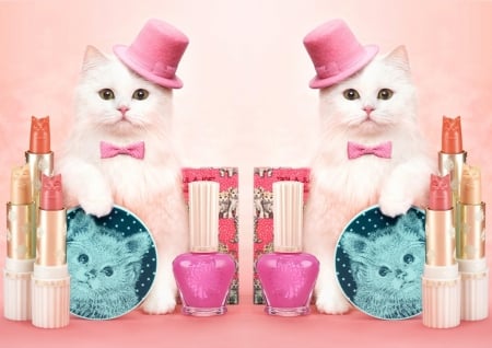 Cosmetics - beauty, nice, hat, cap, pretty, lipstick, ribbon, cute, adorable, cat, kitty, lovely, cosmetics, kitten, kawaii, beautiful, pink, animal, sweet