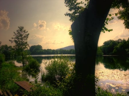 a Place to be - nature, green, relax, sun