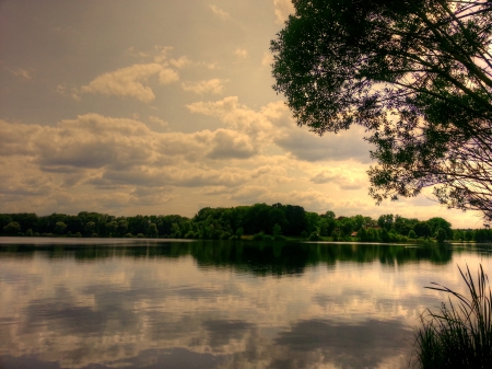 peaceful view - nature, green, lake, sun