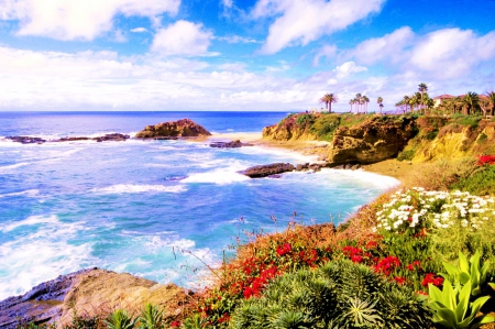 Laguna Beach, California - blossoms, pacific, clouds, seaside, ocean