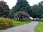 Winding driveway