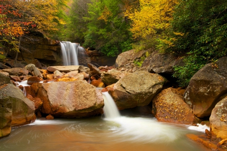 Forest fall - nice, autumn, trees, water, stream, waterfall, rocks, creek, calm, fall, quiet, river, falling, cascades, silent, lovely, serenity, nature, forest, beautiful, stones