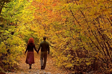 Autumn - love, autumn, forest, beautiful