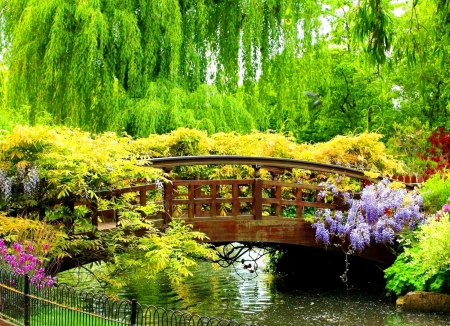 Japanese Garden - flowers, river, trees, blossoms, plants, bridge