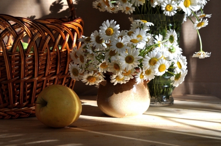 *** Still life  *** - nature, bouquet, flowers, daisies