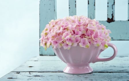 *** Still life in cup *** - nature, stil, flowers, life