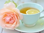 *** Tea and rose ***