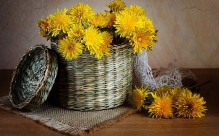 *** Still life *** - still, nature, life, flowers, flower