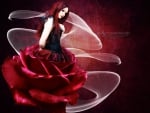 Red Rose Girl