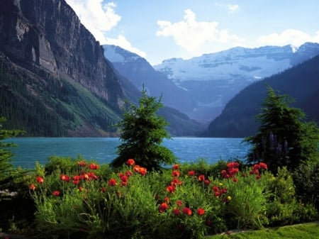 beautiful landscape - flowers, nature, beautiful, skay, landscape, mountains