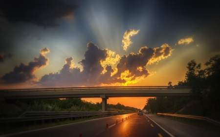 Sunset - tree, sunset, road, sun