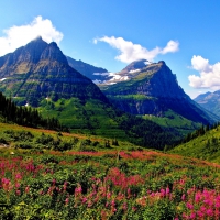 Mount Oberlin and Mount Cannon