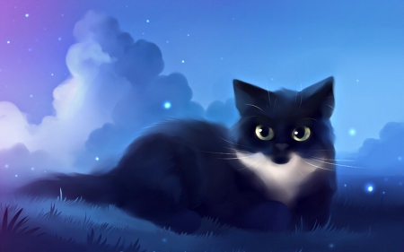 Ewoke - pretty, blue, creative pre-made, drawings, softness beauty, paintings, digital art, colors, lovely, cool, Ewoke, cat, black, cute, adorable, animals, kitty