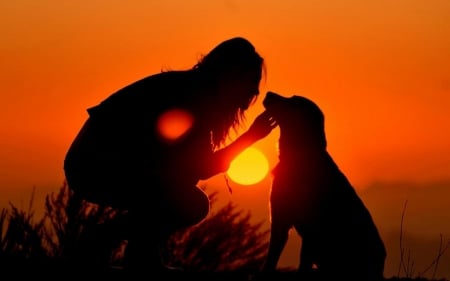 Girl and dog - puppy, animals, lovely, face, dog face, playful, pretty, beautiful, dogs, playful dog, sweet, cute, puppies