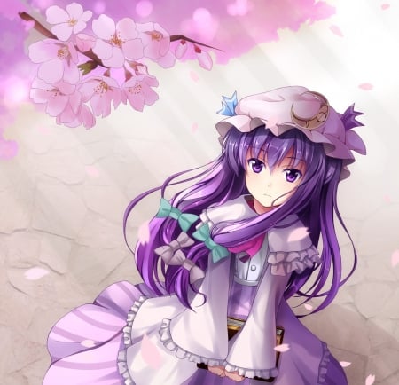 Cherry Blossom - pretty, anime, kawaii, female, blossom, long hair, touhou, nice, purple hair, anime girl, sakura, cherry blossom, beautiful, hot, girl, beauty, lovely, sakura blossom, sweet, flower, petals, patchouli knowledge, cute, floral, sexy