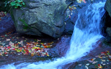 Rocks stream - nice, water, stream, colorful, rocks, creek, calm, quiet, pretty, river, cascades, lovely, serenity, nature, forest, beautiful, leaves, stones