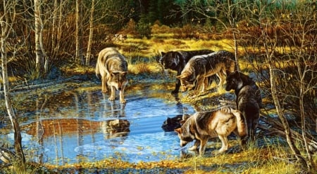 Wolfpack - trees, water, nature, predators, plants, wildlife