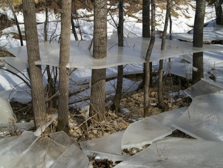 Ice Roof - ice, roof, forest, trees