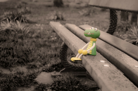 Lost toy crocodile! - toy, bench, crocodile, lost