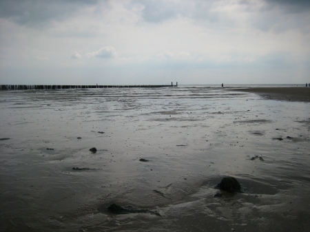 Low tide - beach, photography, sea, nature, tide