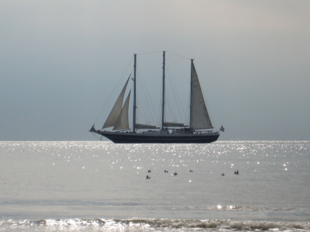 Sailboat - water, sailboat, photography, sea, sun