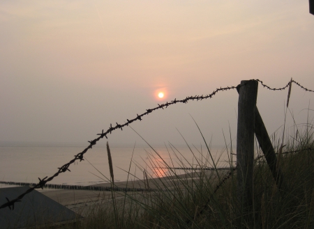 Sunset barbed wire - sky, beach, photography, sunset, sea