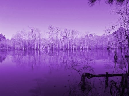 Purple Lake - louisiana, lake, purple, 2012