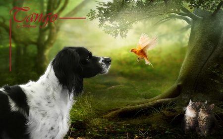 Tango - forest, animal, fantasy, bird, dog