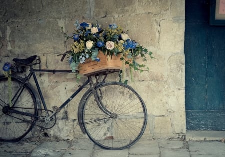 Bicycle - bike, roses, photography, basket, wallp, box, vintage, house, old, zoki, bicycle, wall, door, blue, beautiful, flowers, decoration