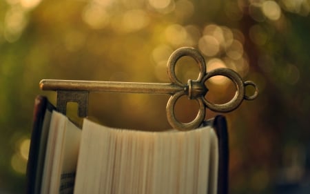 bokeh - bokeh, abstract, key, photography, book