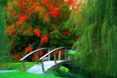 Park Bridge - autumn, trees, leaves, colors, grass