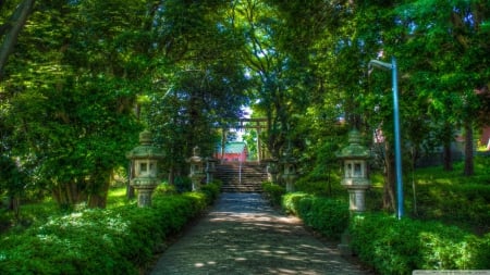 Shinto Shrine pathway - path, japan, shinto, trees, hd