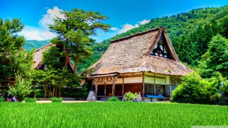 Shirakawago - HD, farm, Shirakawago, Japan