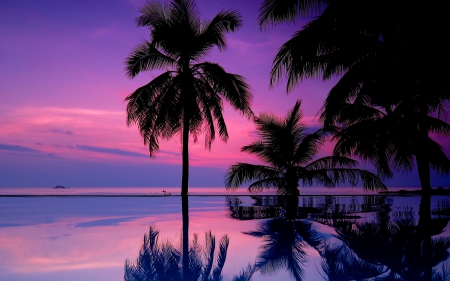 Time for reflection - beach, tropics, sundown, palms, tropical, shore, sunset, mirrored, clear, exotic, p alm trees, nature, crystal, purple, reflection, dusk