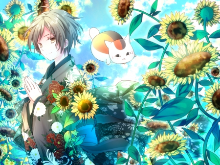 Anime Sunflower - anime, sunflowers, cat, boy