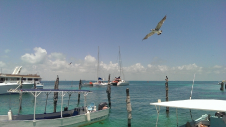 Isla Mujeres 