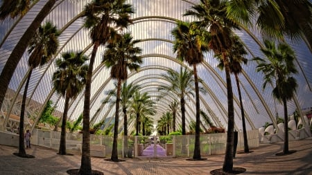 beautiful garden in valencia spain - garden, palms, pathways, roof