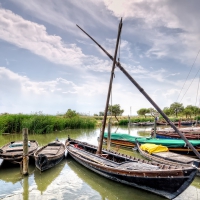 older fleet of boats docked in spain