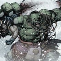 Hulk Vs Wolverine