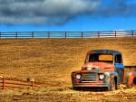 Classic Ford In Field