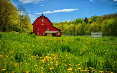 Summer countryside - calm, quiet, grass, forest, flowers, countryside, red, barn, nice, cottage, sky, house, greenery, trees, beautiful, lovely, nature, green, serenity, silent