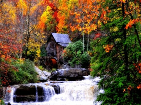 Old mill in Autumn - old mill, fall leaves, nature, autumn, stream, forest