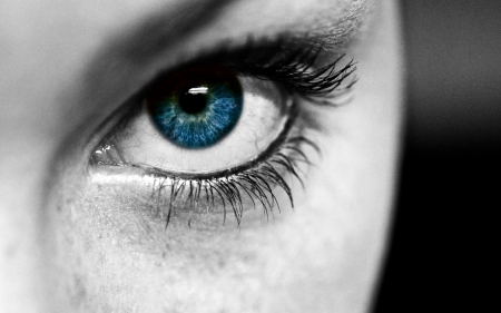 Blue eye - white, black, eye, girl, woman, blue