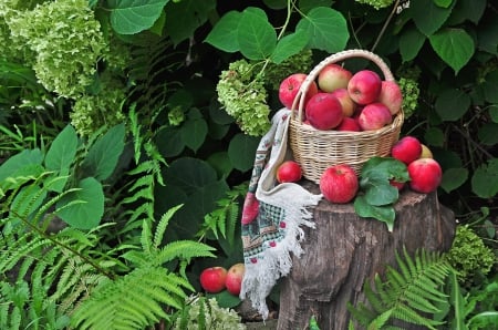 *** Apples *** - greens, basket, apples, nature